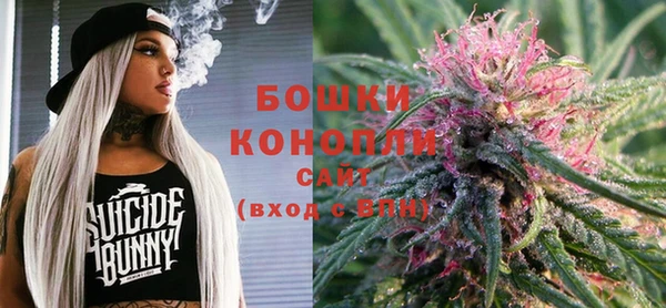 PSILOCYBIN Бородино