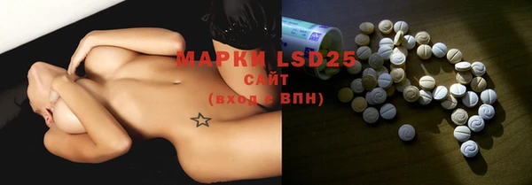 PSILOCYBIN Бородино