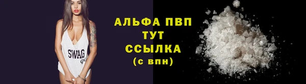 PSILOCYBIN Бородино