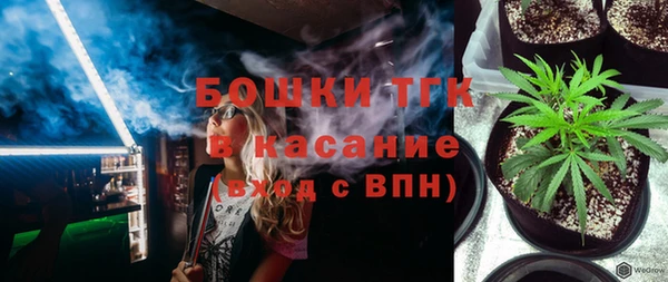 PSILOCYBIN Бородино