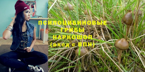 PSILOCYBIN Бородино