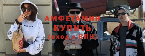 PSILOCYBIN Бородино